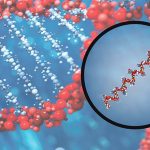 microRNAها و ژن‌های هدف